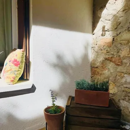 Lejlighed Casa Pao A 50m De La Cassis